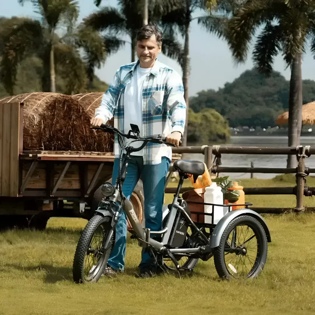 1753532112-1 (18) Fafrees F20 Mate hopfällbar elektrisk cykel - Bild 1
